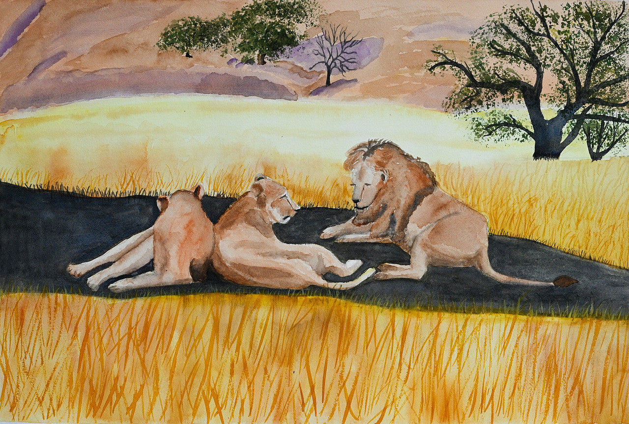 The Lion Finding a Cool Place to Live