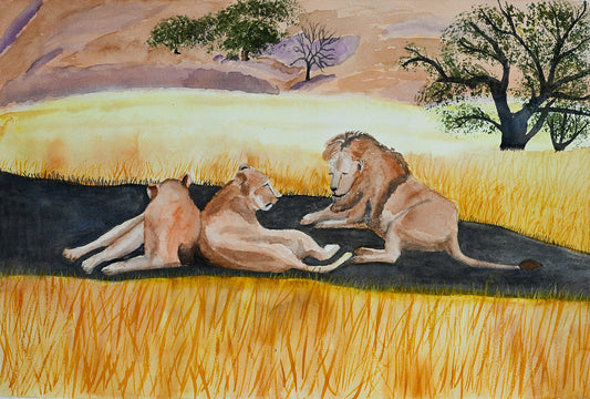 The Lion Finding a Cool Place to Live